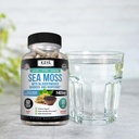 kaya-naturals-sea-moss---mobility-supple-6.jpg