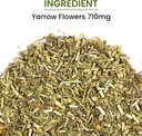 green-organic-supplements-yarrow-flower--2.jpg