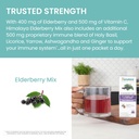 himalaya-elderberry-mix-drink-mix-supple-6.jpg