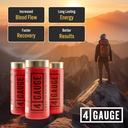 4-gauge-explosive-preworkout-without-the-4.jpg