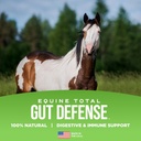 equine-total-gut-defense-all-natural-dig-2.jpg