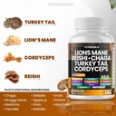 vitamax-lions-mane-mushroom-turkey-tail--2.jpg