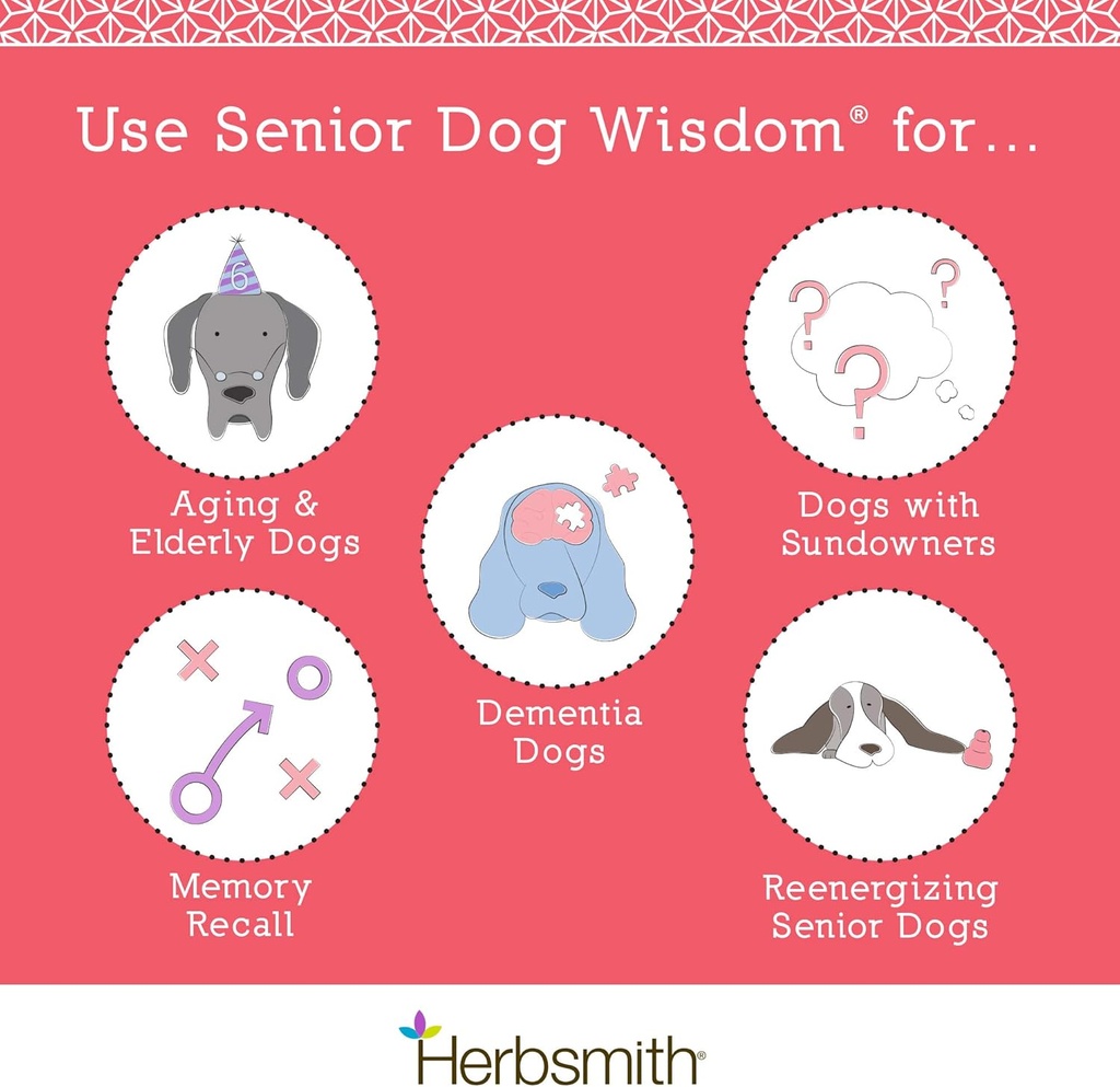 herbsmith-senior-dog-wisdom-dog-dementia-2.jpg