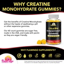 creatine-gummy-supplement--lemon-flavore-4.jpg