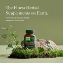 gaia-herbs-energy-vitality---energy-supp-2.jpg