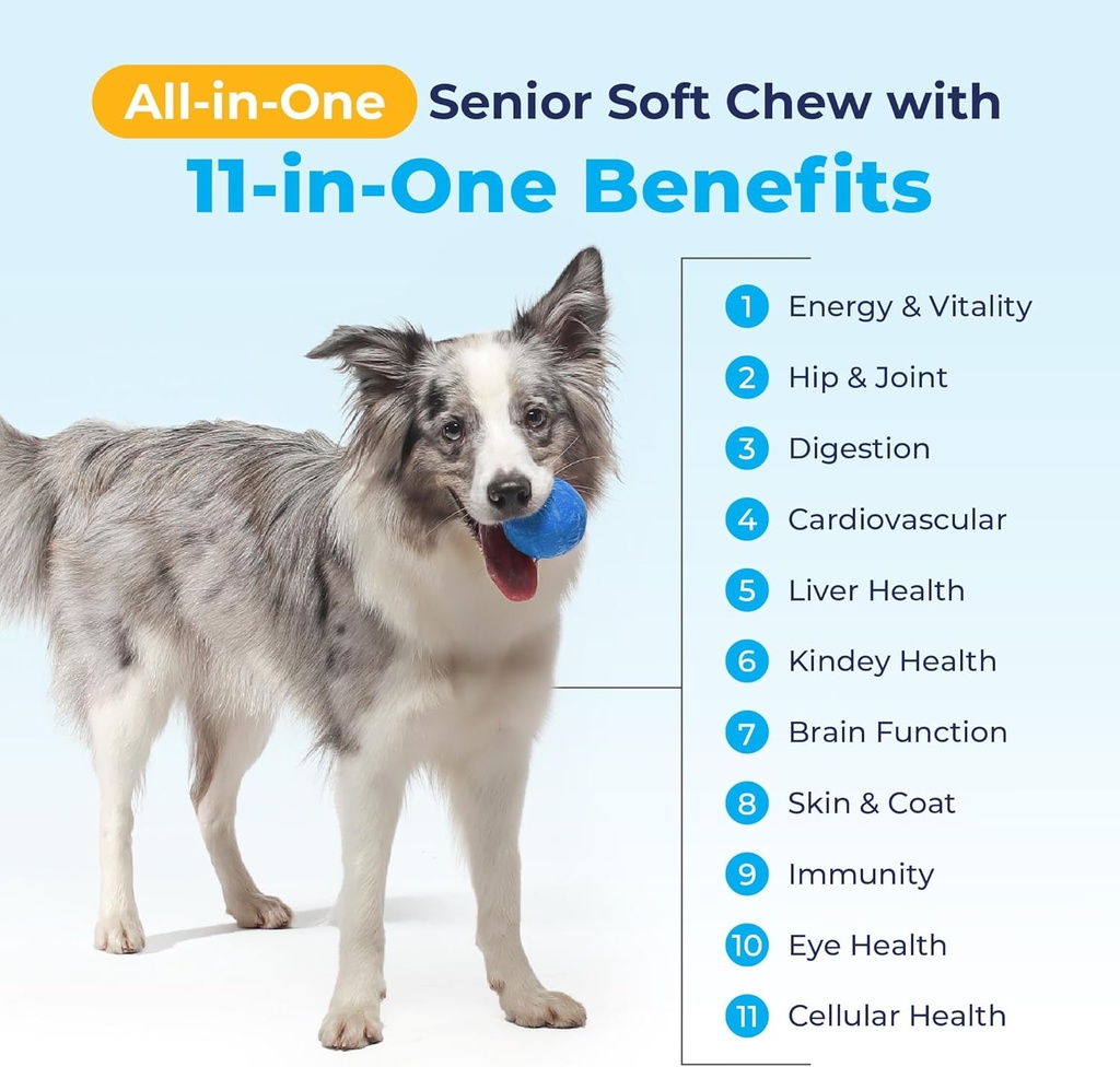 vetnique-seniorbliss-senior-dog-multivit-6.jpg