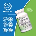 wonder-laboratories-ez-omega-3-atlantic--3.jpg