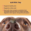 goodgood-skin-coat-dog-supplements-suppo-2.jpg
