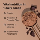 bodi-shakeology-whey-based-protein-powde-3.jpg