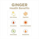 the-ginger-people-ginger-rescue-chewable-4.jpg