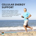 source-naturals-life-force-multiple-iron-5.jpg