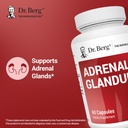 dr-berg-adrenal-glandular---hormone-bala-2.jpg