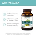 himalaya-organic-amla---herbal-immune-su-3.jpg