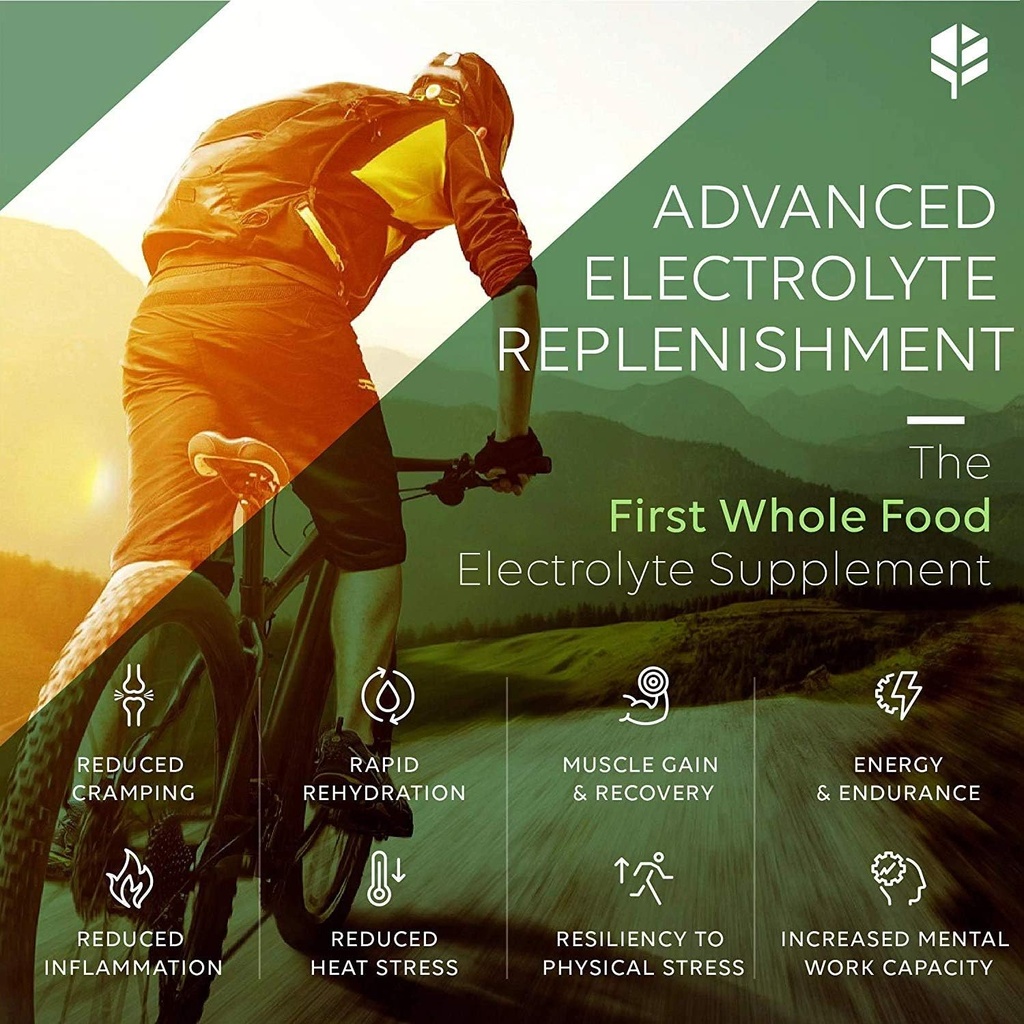 whole-food-electrolyte-supplements-elect-5.jpg