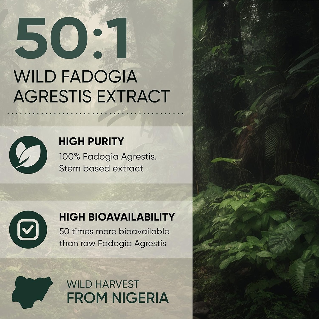 jungle-powders-fadogia-agrestis-powder-f-4.jpg