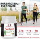 vegan-plant-protein-vanilla-dca-nutritio-5.jpg