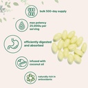 micro-ingredients-maximum-strength-vitam-3.jpg