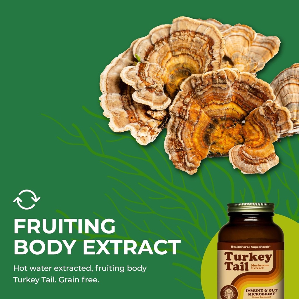 healthforce-superfoods-turkey-tail---pow-6.jpg