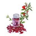 pomegranate-skin-oil-capsules-by-easycom-3.jpg