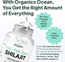 organics-ocean-one-per-day-shilajit-for--4.jpg