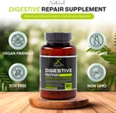digestive-repair-5-in-1-plus-7-digestive-4.jpg