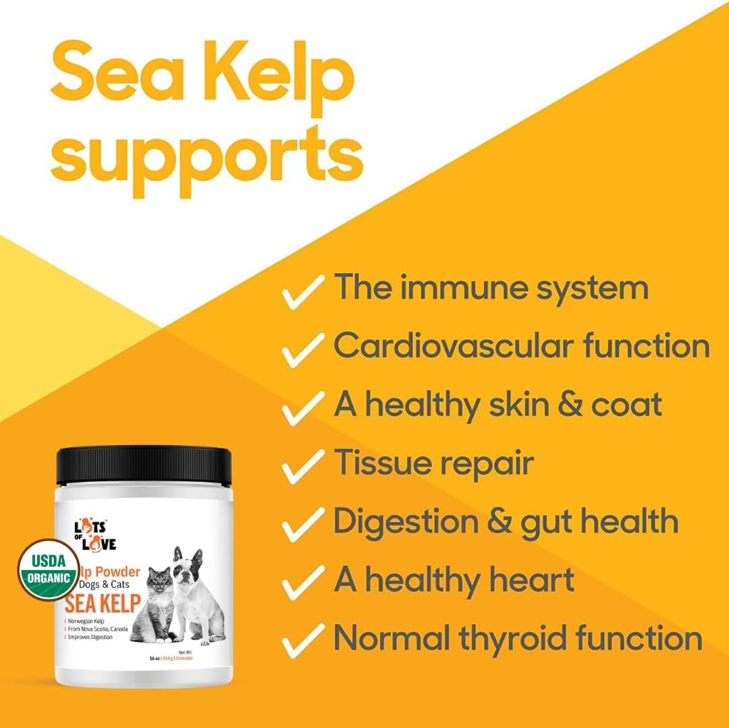 kelp-powder-for-dog-cat---organic-sea-ke-3.jpg
