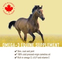 camelina-oil-for-horses-1-gallon-by-olim-3.jpg
