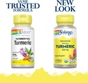 solaray-fermented-turmeric-root-500mg-10-2.jpg