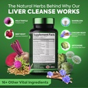 liver-cleanse-detox-repair-formula-suppl-3.jpg