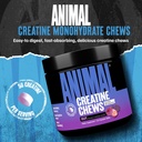 animal-creatine-chews-tablets---enhanced-2.jpg