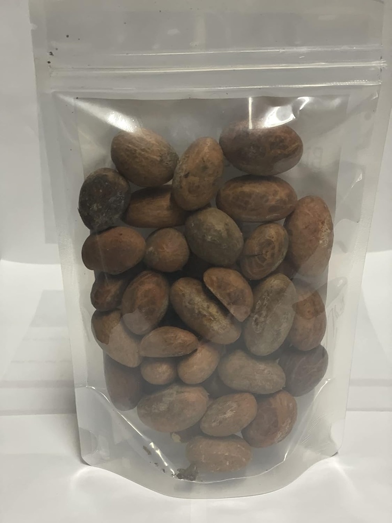 jeb-foods-african-bitter-kola-nuts-bitte-2.jpg