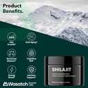 pure-organic-shilajit-resin-authentic-hi-2.jpg