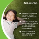 natures-plus-ape-kidgreenz-chewable-tabl-4.jpg