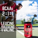 bsn-amino-x-muscle-recovery-endurance-po-5.jpg