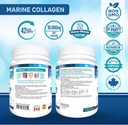 bio-absorb-marine-collagen-powder-extra--4.jpg
