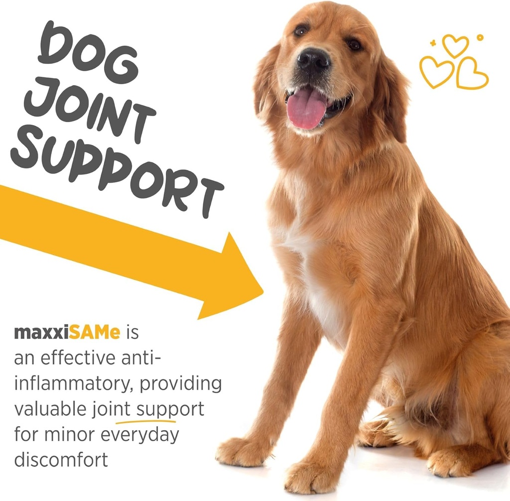 maxxipaws-maxxisame-advanced-sam-e-powde-4.jpg