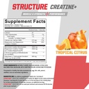 undefined-nutrition-structure-creatine-b-2.jpg