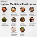aceworkz-10-mushroom-complex-supplement--5.jpg