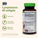 herbs-etc-lymphatonic-sg-60-ct-3.jpg