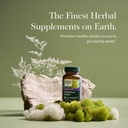 gaia-herbs-rhodiola-rosea---stress-suppo-2.jpg