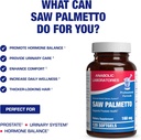 high-absorption-saw-palmetto-for-men---h-5.jpg