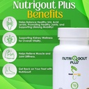 gout-and-you-nutrigout-plus-uric-acid-su-2.jpg