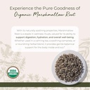 starwest-botanicals-organic-marshmallow--2.jpg