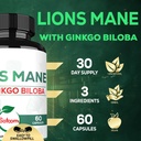 lions-mane-with-ginkgo-biloba-supplement-3.jpg