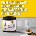 no-excuse-pre-workout-powder-highly-rega-6.jpg