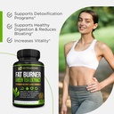 premium-green-tea-extract-fat-burner-sup-3.jpg
