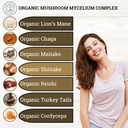 mindful-focus-bundle---7-mushroom-comple-5.jpg