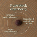 new-chapter-elderberry-gummies-for-kids--4.jpg