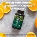 plantfusion-vegan-iron-vitamin-c-bundle--5.jpg