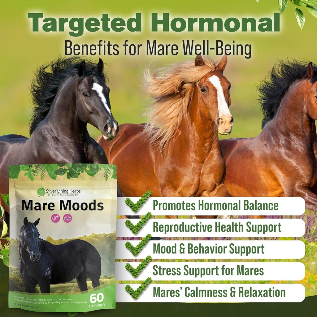 silver-lining-herbs-mare-moods-horse-cal-2.jpg
